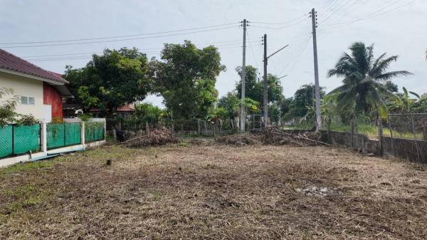 ���Թ������ �� Sawasdee