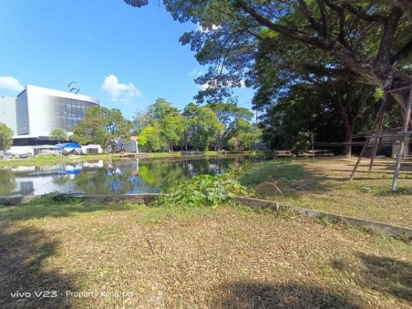 �ѧ�ͧ��ҧ �� kantapon4