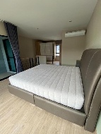 ��ǹ���� �ǹ��ǧ 20 ���ҧ��