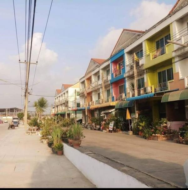 �Ҥ�þҳԪ�������� �ź���