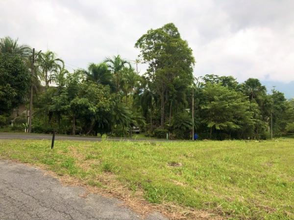 �ǡ���� �� coasset22