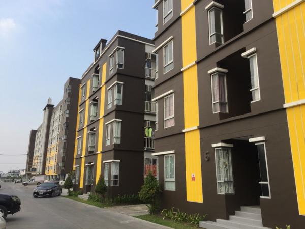 �͹����������ѹ�� �չ����