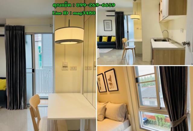 �͹��������Է����¹ҹҪҵ� �չ����