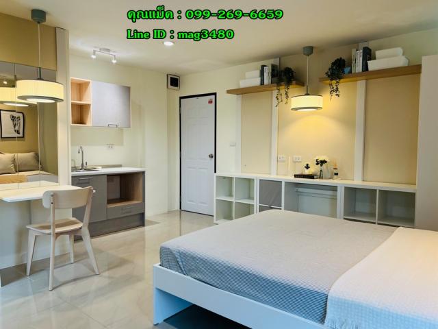 �͹���ͧʵٴ��� �չ����