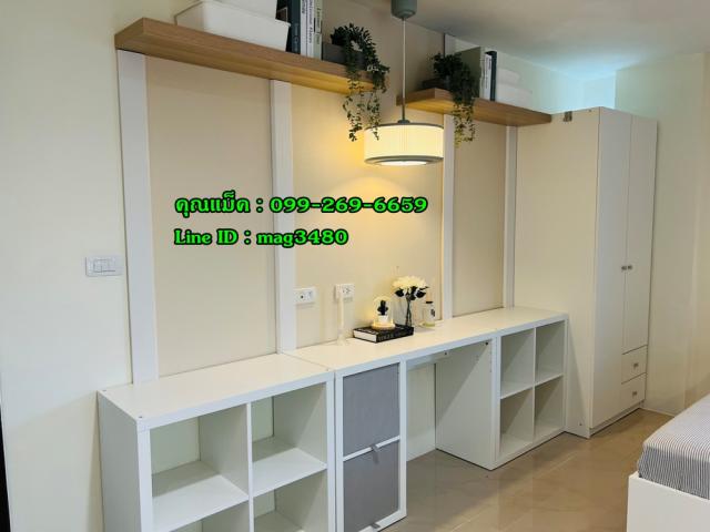 �͹���ͧ��� �չ����