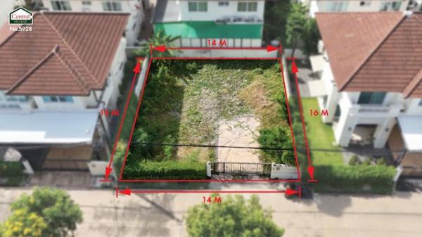 �ҧ���� �� ����ѷ �繷��� ��� ���;������ �ӡѴ