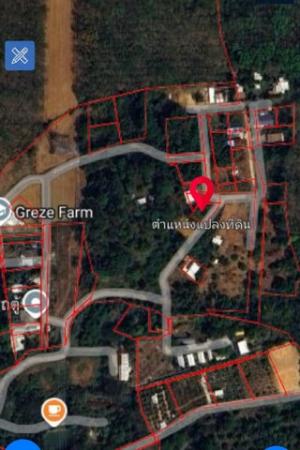 ��ҧ �� kulchaya1