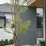 ��ҹ �Ԥ��Ѳ��