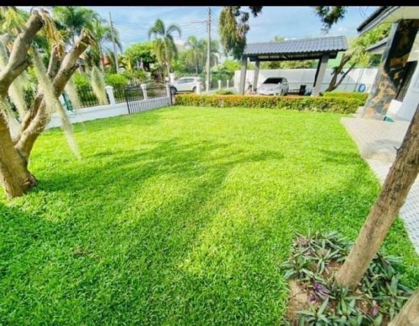 ��ҹ���������ú ��§����