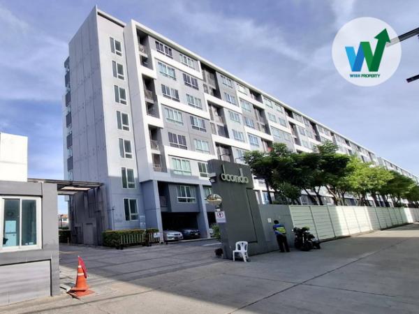 �͹���Ҿ���� �ҧ�л�