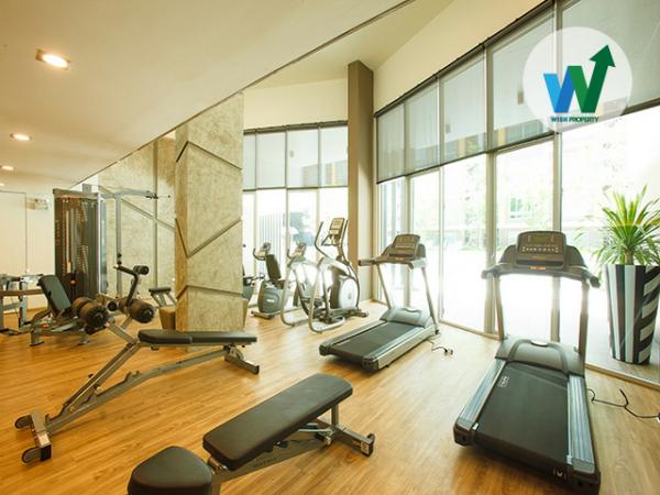 �͹����ҧ��ǹǧ��ǹ �ҧ�л�