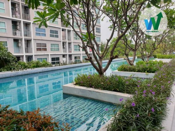 �͹����ҧ��ǹ �ҧ�л�