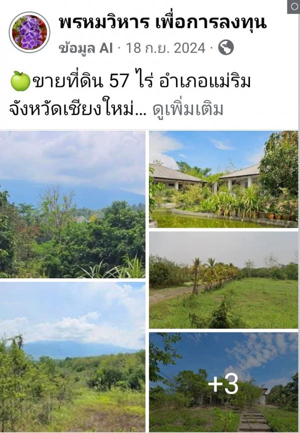 ������������͡��ŧ�ع