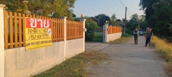 ������ �� zionasset1