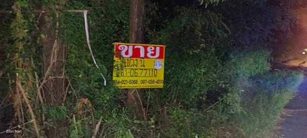 ������ �� zionasset1