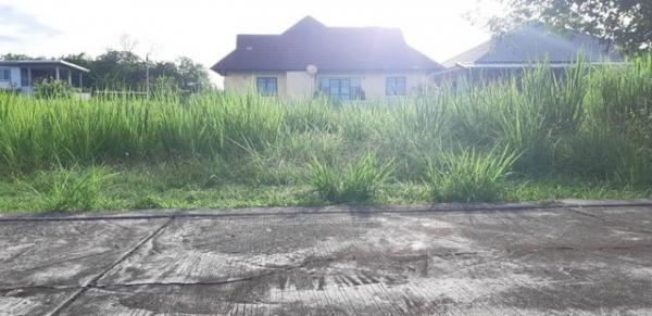 �ҧ�� �� northern1