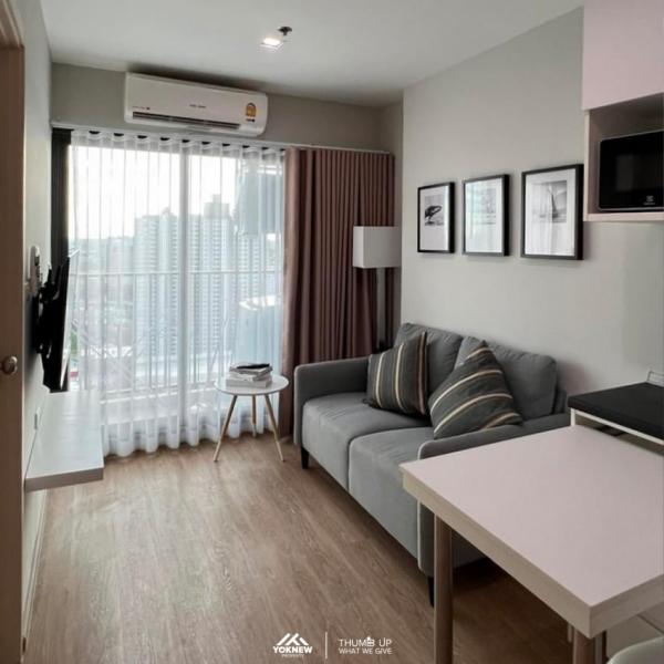 �ҧ�л� �� Yoknew Property