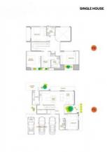 ��ҹ �ѹ���� 50 ���ҧ��