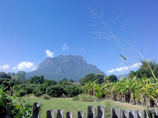 ที่ดิน 5 ไร่ ที่ดิน 5 ไร่