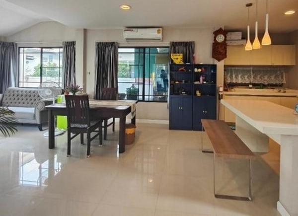 ��ҹ  ������