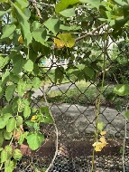 ��·��Թ �Ҥһ�С�Ȣ�� 7,743,000 �ҷ