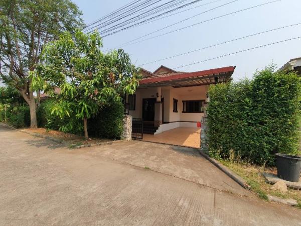 �Ң�ѭ �Ź�����