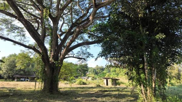 �ѹ���� �� Sawasdee