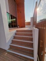 ��ҹ �������