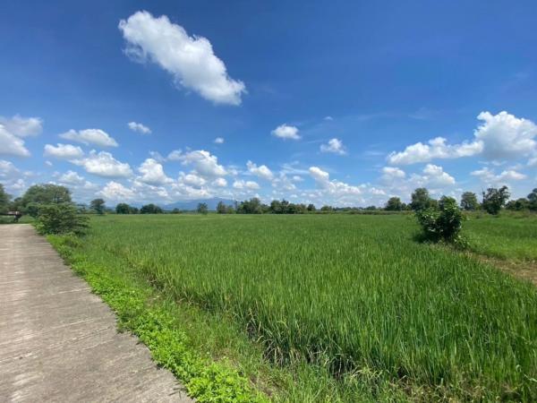 ��§���� �� Anutta thongdet