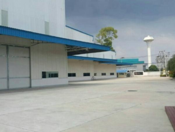 ⡴ѧChan ����Ҫ�