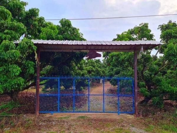 ที่ดิน สันป่าตอง เชียงใหม่ ที่ดิน สันป่าตอง เชียงใหม่