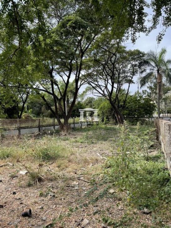 ��»����� �� kulchaya1