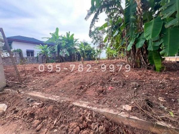 �ŧ ���ͧ �� Theproperty