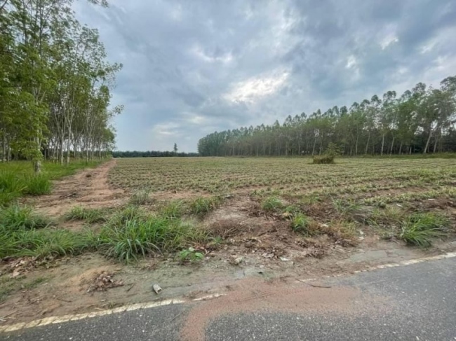 ���ͧ �� A House property