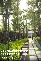 �͹� �Ѳ��