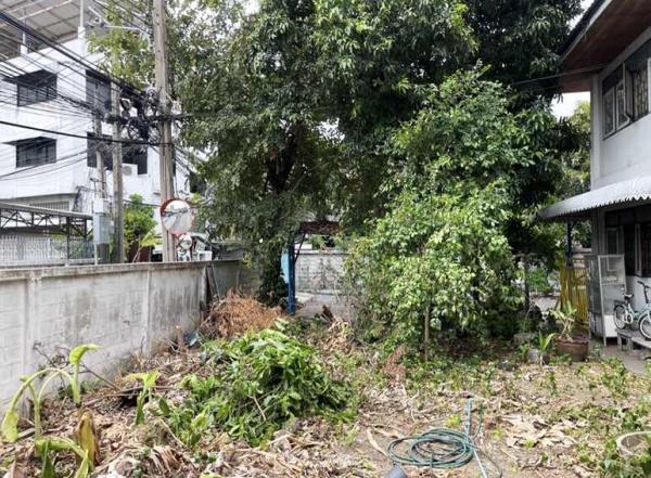 ��º�ҹ �ҧ�͡�˭��ا෾