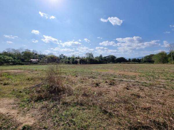 ���Թ������ �� Sawasdee