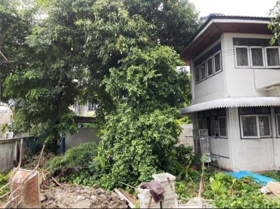 ��º�ҹ �ҧ�͡�˭��ا෾