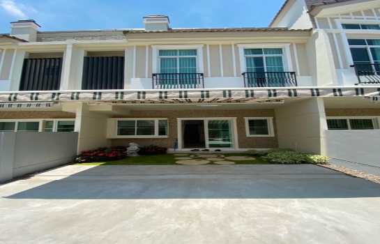 �س ��ѳ��