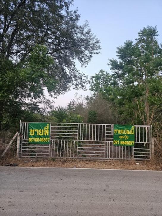 ����Ҫ���� �� amaraphat78