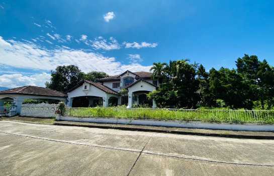 ���ͧ �� Asset X Property