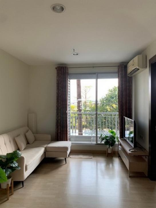 ���¢�ҧ �� kulchaya1