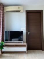 �͹� ���¢�ҧ