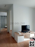 ������ �͹�