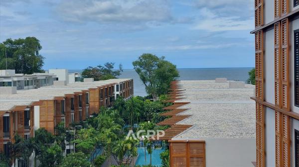 ����Թ �� Acute Realty Partner