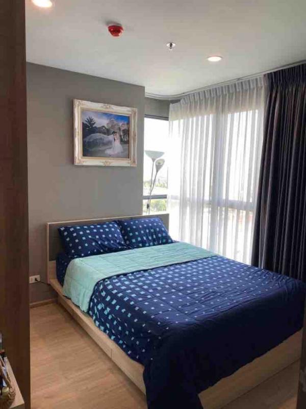 ��ا෾ �� homeprop34