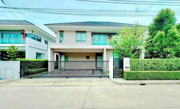 ����оҹ�٧ �� Patkorn