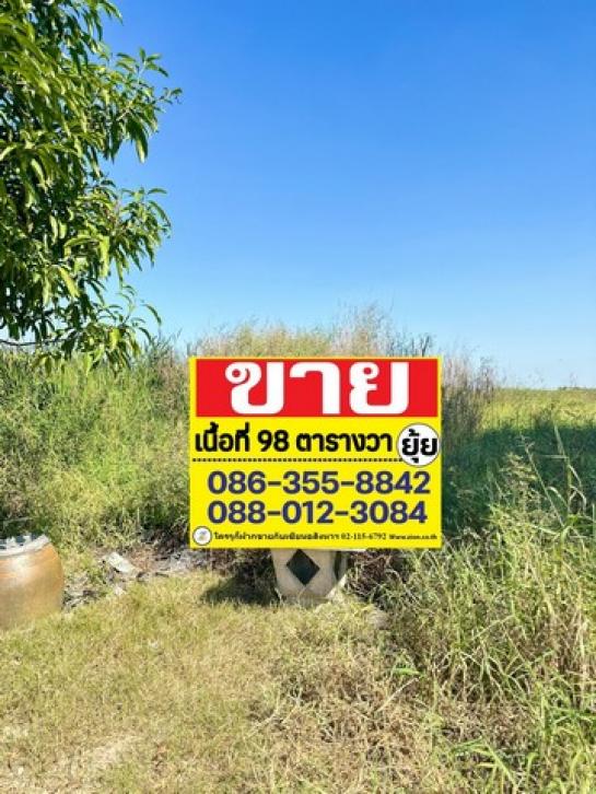 ������ �� zionasset1