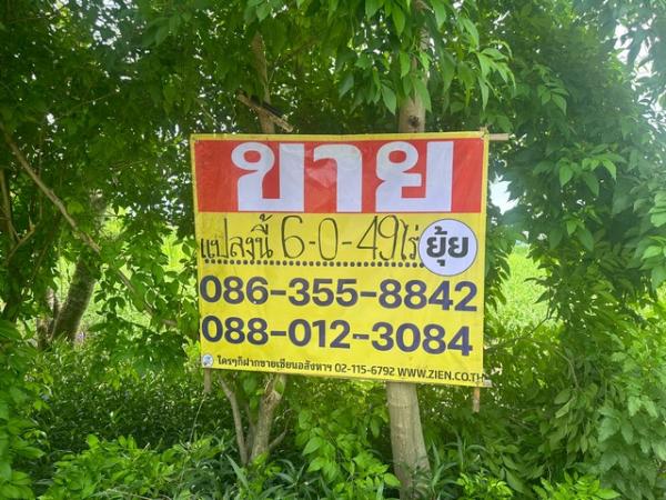 �ǹ��ǧ �� zionasset1