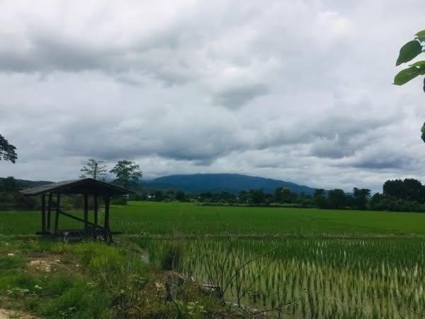 �ҧ�� �� northern1